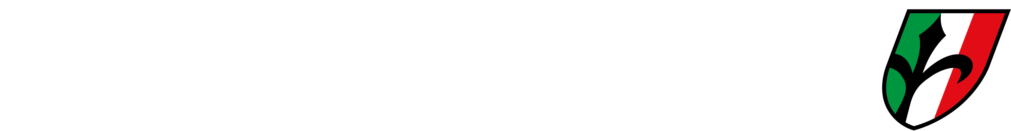 logo-wilier